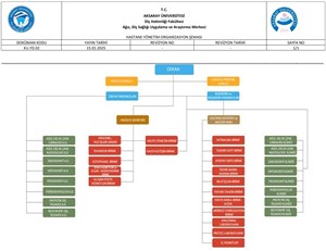 Organizasyon Şeması
